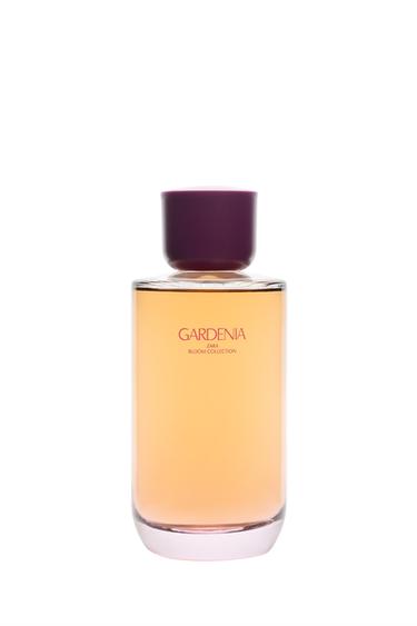 Gardenia Edp - Zara