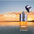 Cerruti 1881 Vivo