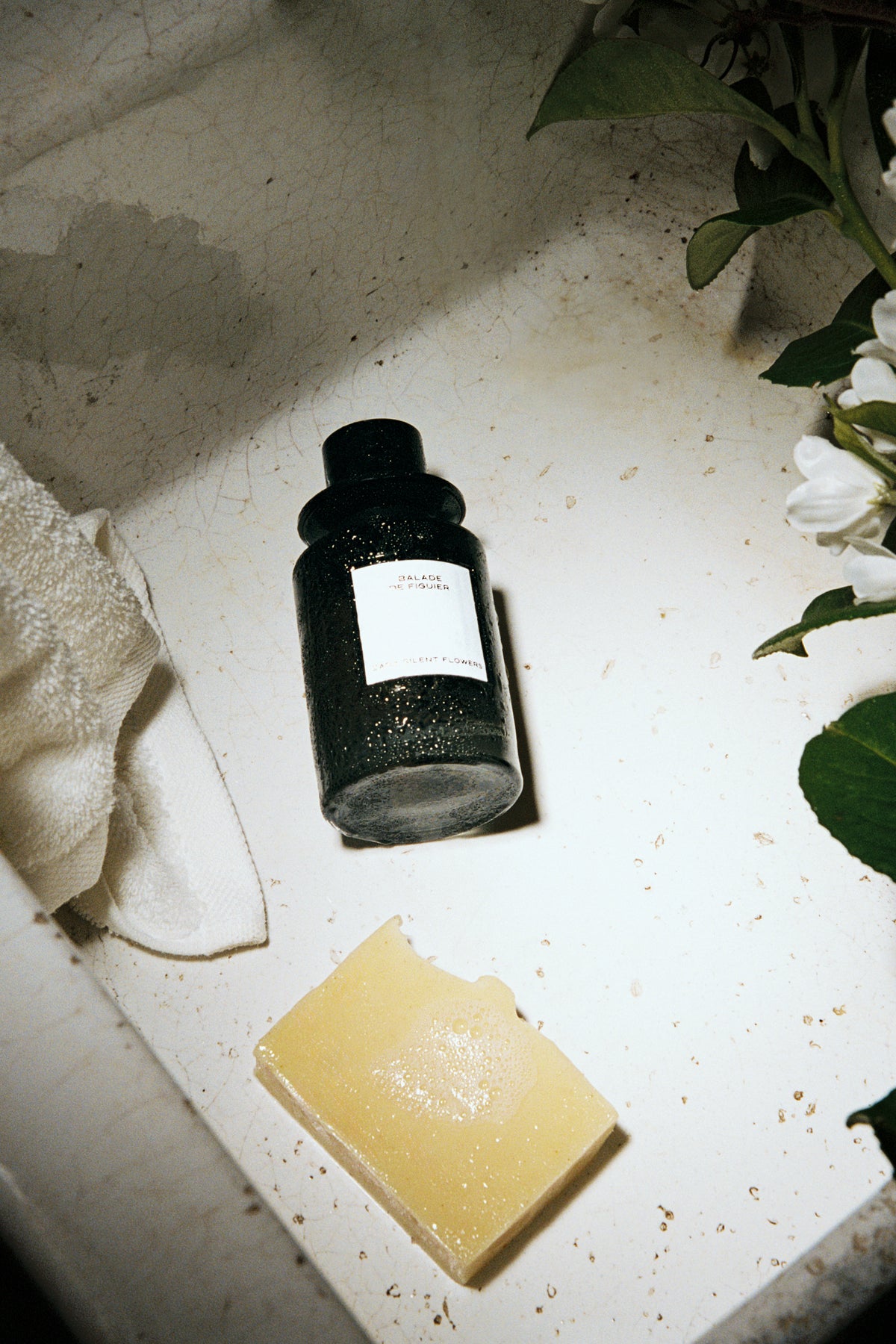 BALADE DE FIGUIER PERFUME 100ML (3.4 FL.OZ).