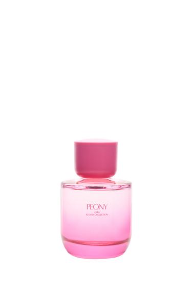 Peony Edp - Zara