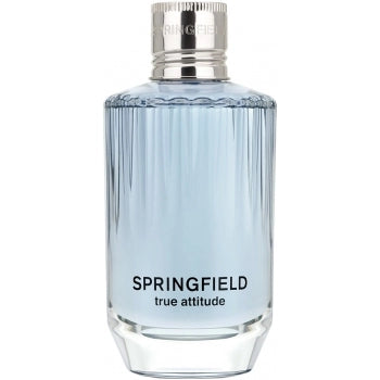 True Attitude Eau de Toilette para Homem