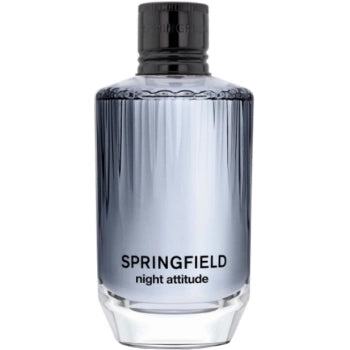 Night Attitude Eau de Toilette para Homem