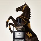 Creed Aventus