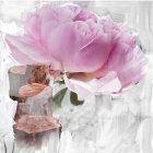 BYREDO Blanche