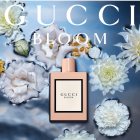 Gucci Bloom