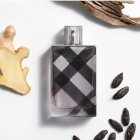 Burberry Brit for Him