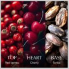Chanson Chanson d'Eau Les Eaux Du Monde Cherry
