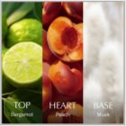 Chanson Chanson d'Eau Les Eaux Du Monde Peach