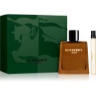 Burberry Hero Eau de Parfum