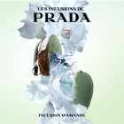 Prada Les Infusions: Infusion Amande