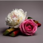 SCENT OF STARS Lyra Blossom Nº 52