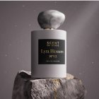 SCENT OF STARS Lyra Blossom Nº 52