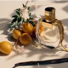 Chloé Nomade Jasmin Naturel Intense