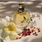 Chloé Nomade Lumiére d´Egypte