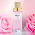 Anne Klein Oh-So Elegant
