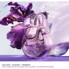 BVLGARI Omnia