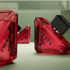 Prada Paradoxe Radical Essence