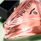 Prada Paradoxe