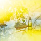 HERMÈS Parfums-Jardins Collection Le Jardin de Monsieur Li