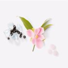 Mauboussin Promise Me Flower