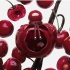 NINA RICCI Rouge Crush