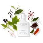 Creed Silver Mountain Water