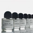 BYREDO Super Cedar