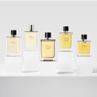 HERMÈS Terre d’Hermès Eau de Parfum Intense
