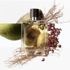 HERMÈS Terre d’Hermès Eau Intense Vétiver