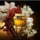 Dolce&amp;Gabbana The One Eau de Parfum Intense