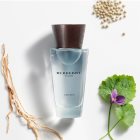 Burberry Touch for Men
