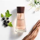 Burberry Touch for Women