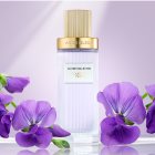Anne Klein Touch Of Flair